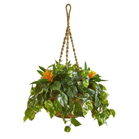 NEARLY NATURALS 31 in. Bromeliad & Pothos Artificial Plant in Hanging Basket 8398